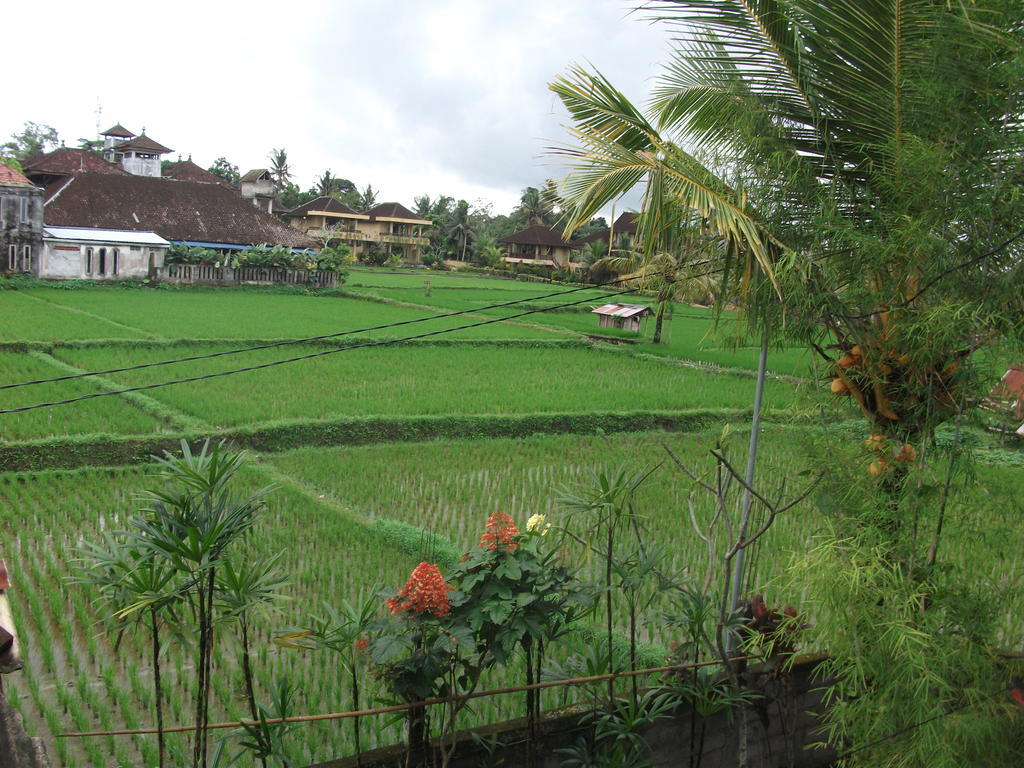 Gerhana Sari 2 Bungalows Ubud Exterior foto